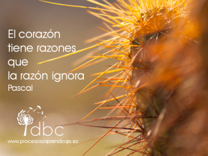 razones del corazón que la razón ignora