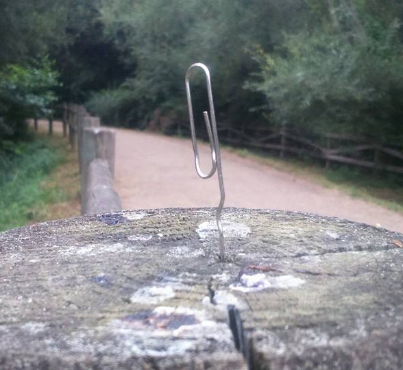 clip2